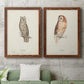 Scops- Eared Owl - Premium Framed Canvas 2 Piece Set - Ready to Hang