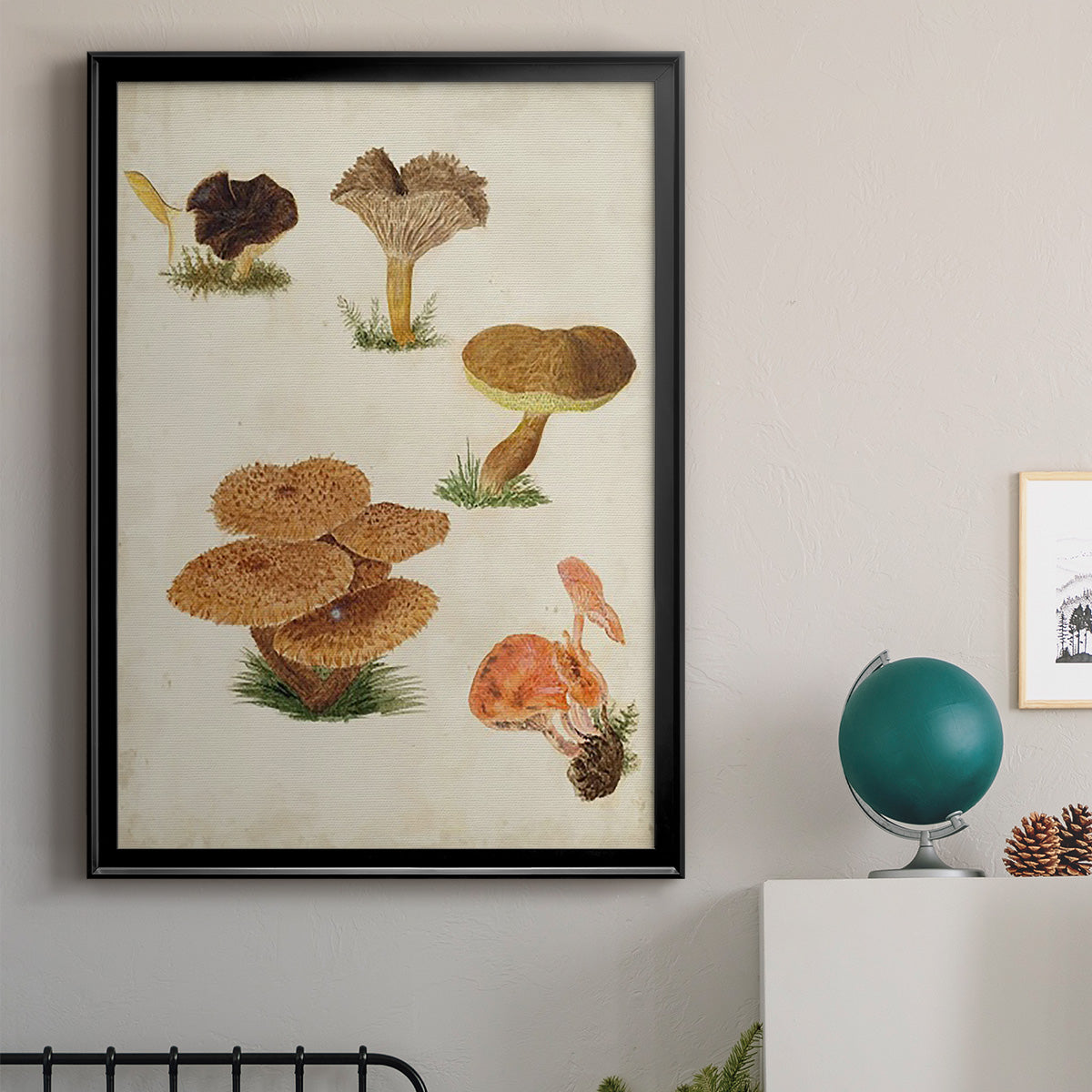 Mushroom Species V - Modern Framed Canvas Print