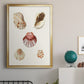Pastel Knorr Shells V - Modern Framed Canvas Print