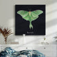 Luna Moth I - Canvas Art Print