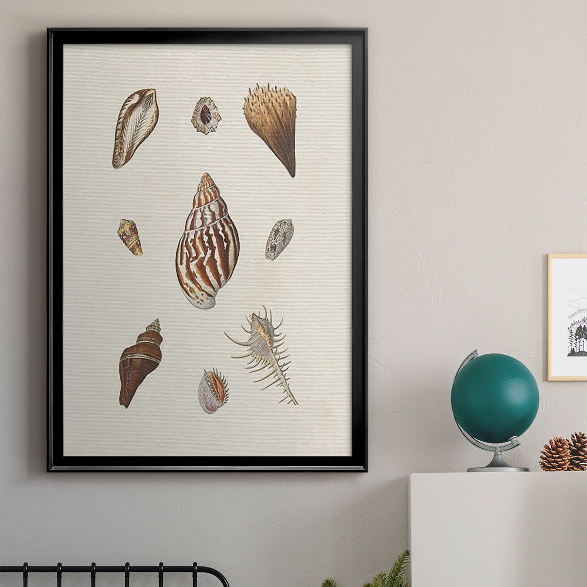 Knorr Shells & Coral IX - Modern Framed Canvas Print