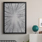 Deciduous Canopy II - Modern Framed Canvas Print