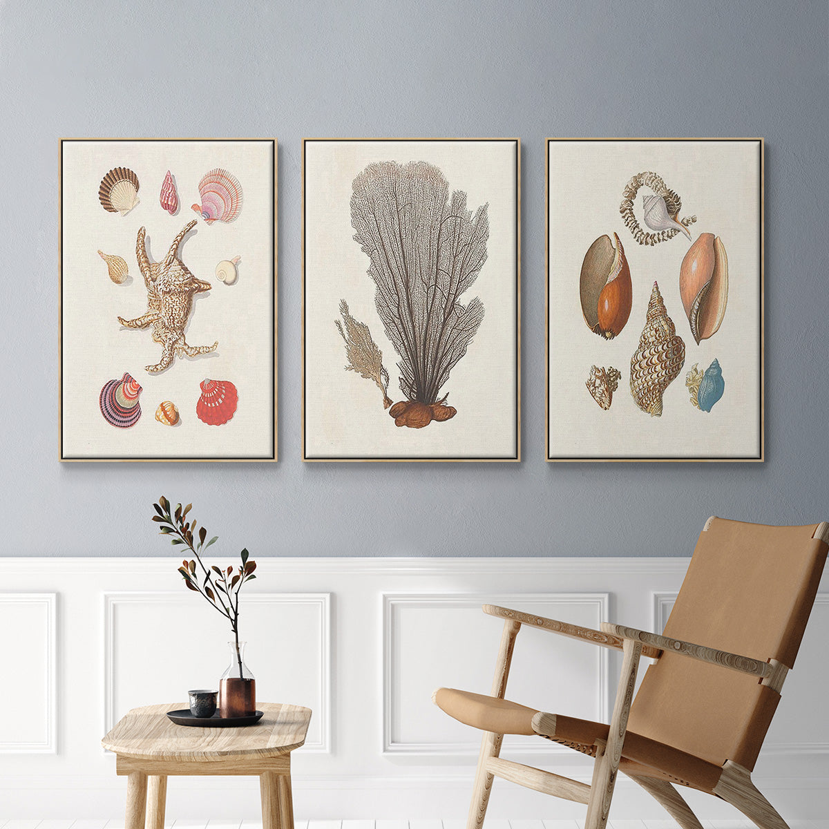 Knorr Shells & Coral I - Framed Premium Gallery Wrapped Canvas L Frame 3 Piece Set - Ready to Hang