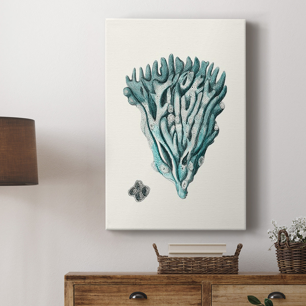 Antique Coastal Coral X - Canvas Art Print