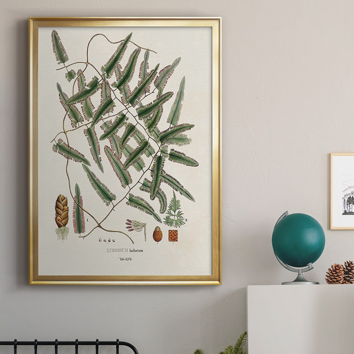 Botanical Society Ferns X - Modern Framed Canvas Print