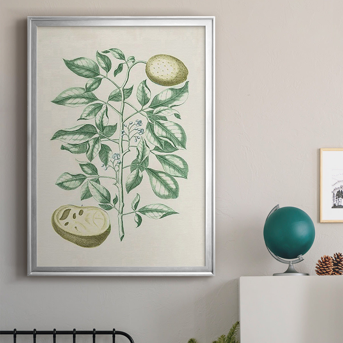 Buchoz Tropicals III - Modern Framed Canvas Print