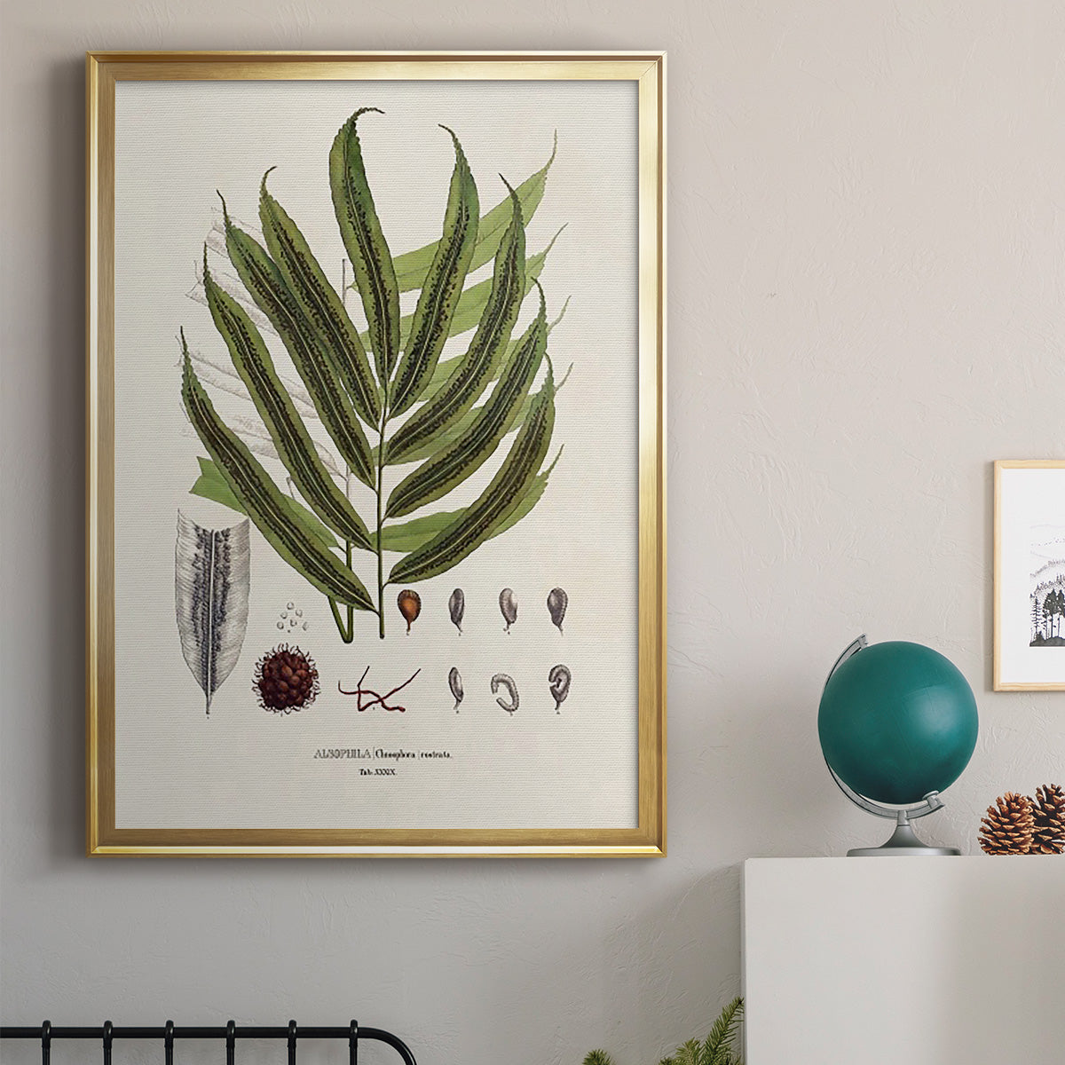 Botanical Society Ferns II - Modern Framed Canvas Print