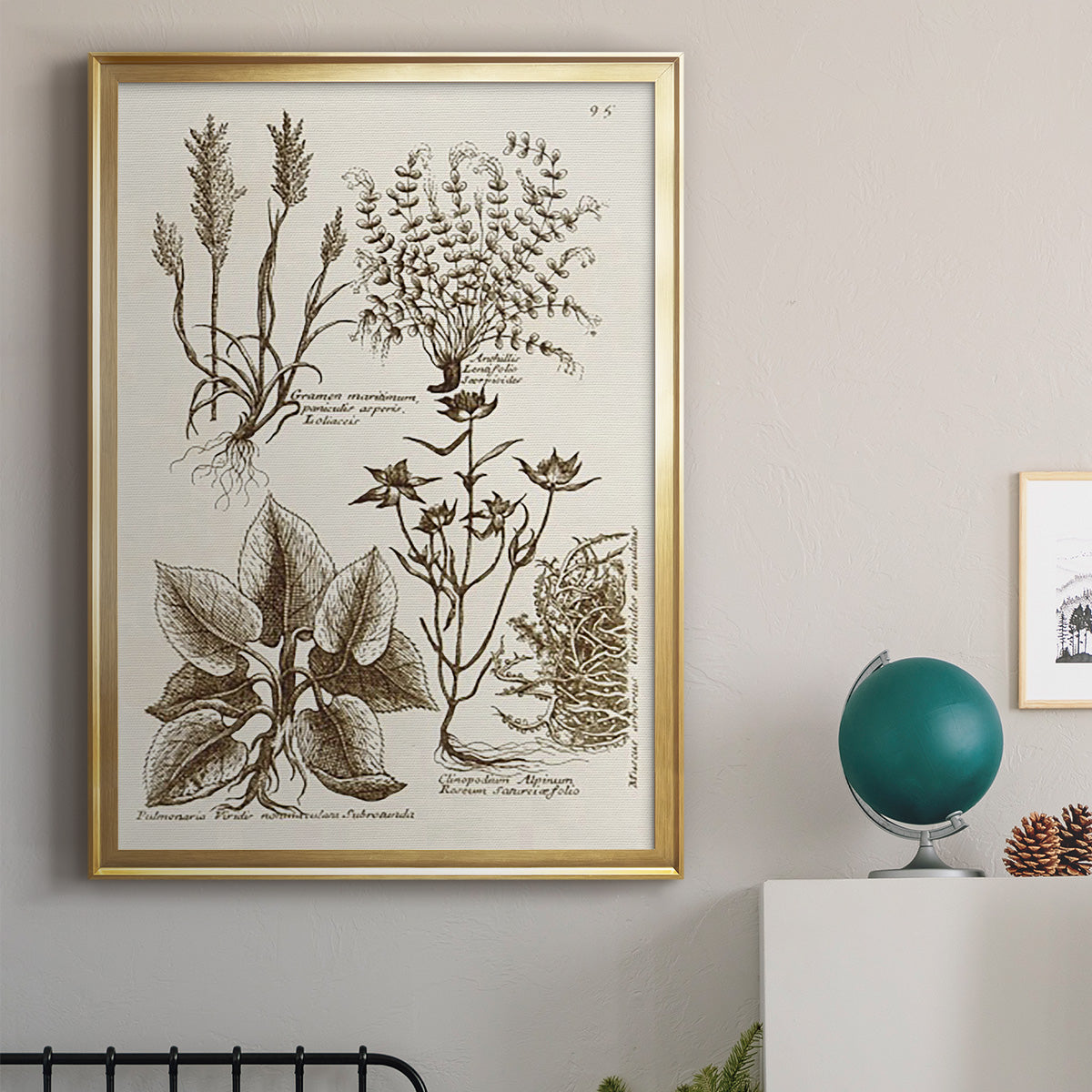 Sepia Botanical Journal VII - Modern Framed Canvas Print