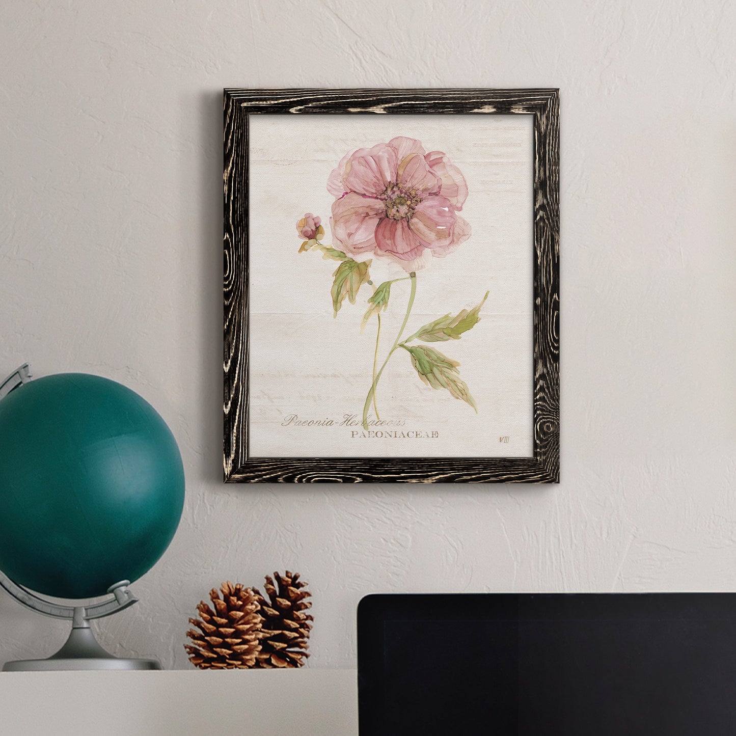 Soft Peony - Premium Canvas Framed in Barnwood - Ready to Hang