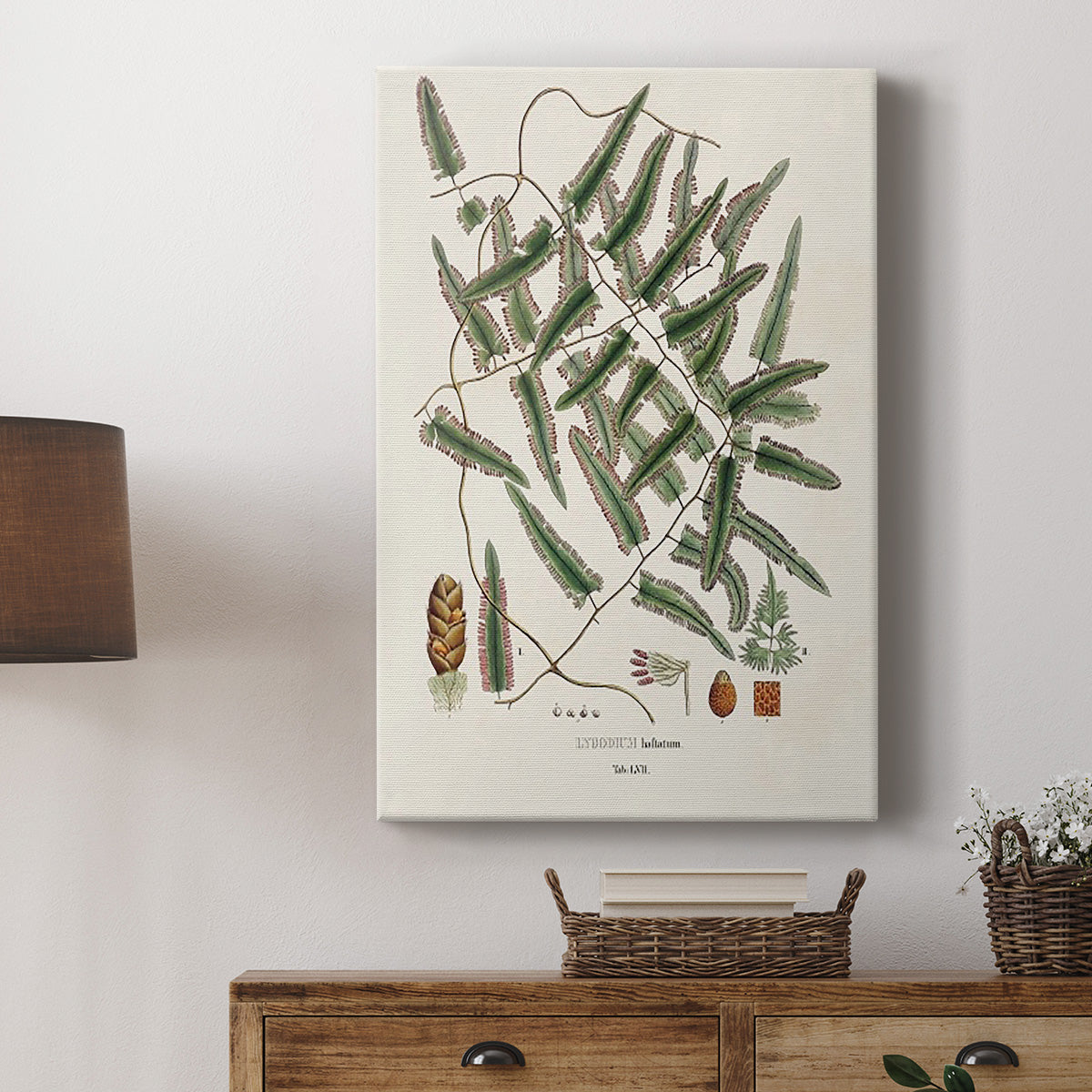 Botanical Society Ferns X Premium Gallery Wrapped Canvas - Ready to Hang