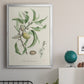 Antique Almond Botanical IV - Modern Framed Canvas Print