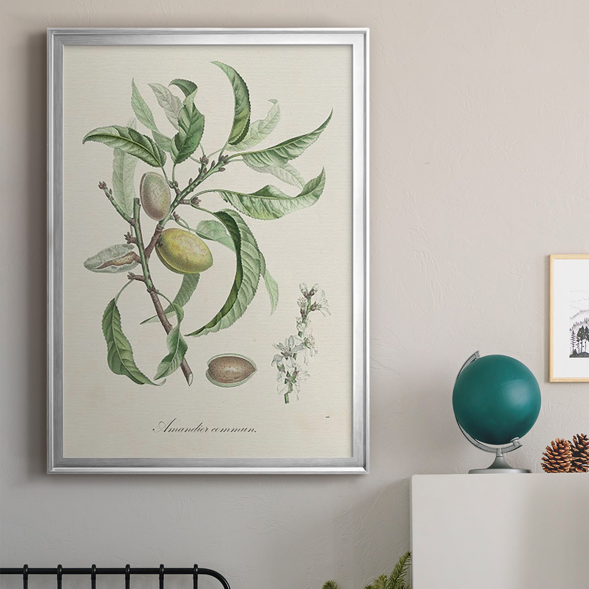 Antique Almond Botanical IV - Modern Framed Canvas Print