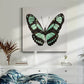 Mint Butterfly II - Canvas Art Print