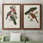 Elegant Trogons V - Premium Framed Canvas 2 Piece Set - Ready to Hang