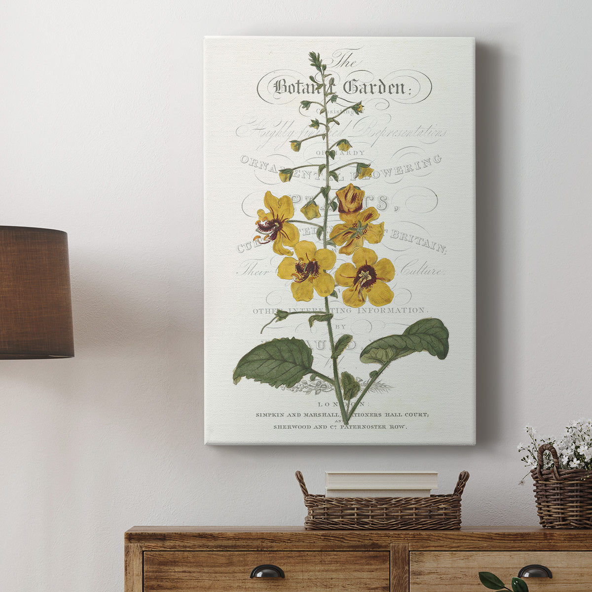 Flower Garden Varietals V - Canvas Art Print