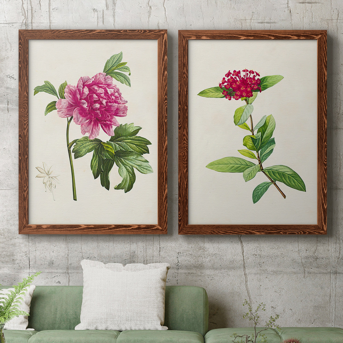 Set of two maple barnwood framed canvas prints depicting a coordinated art pair of pink flowering plant specimens rendered as vintage botanical plate illustrations above a sofa in a modern living room.