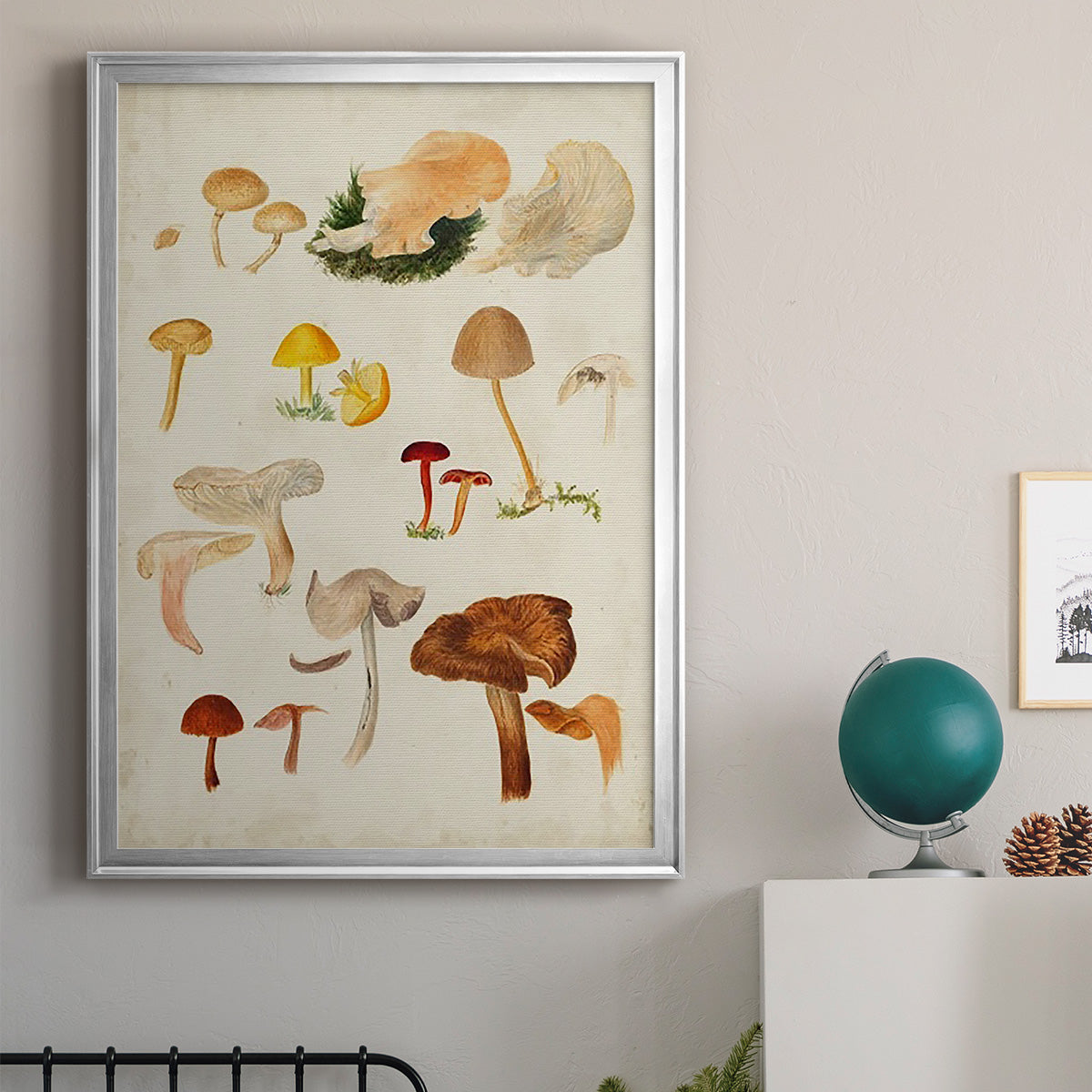 Mushroom Species XII - Modern Framed Canvas Print