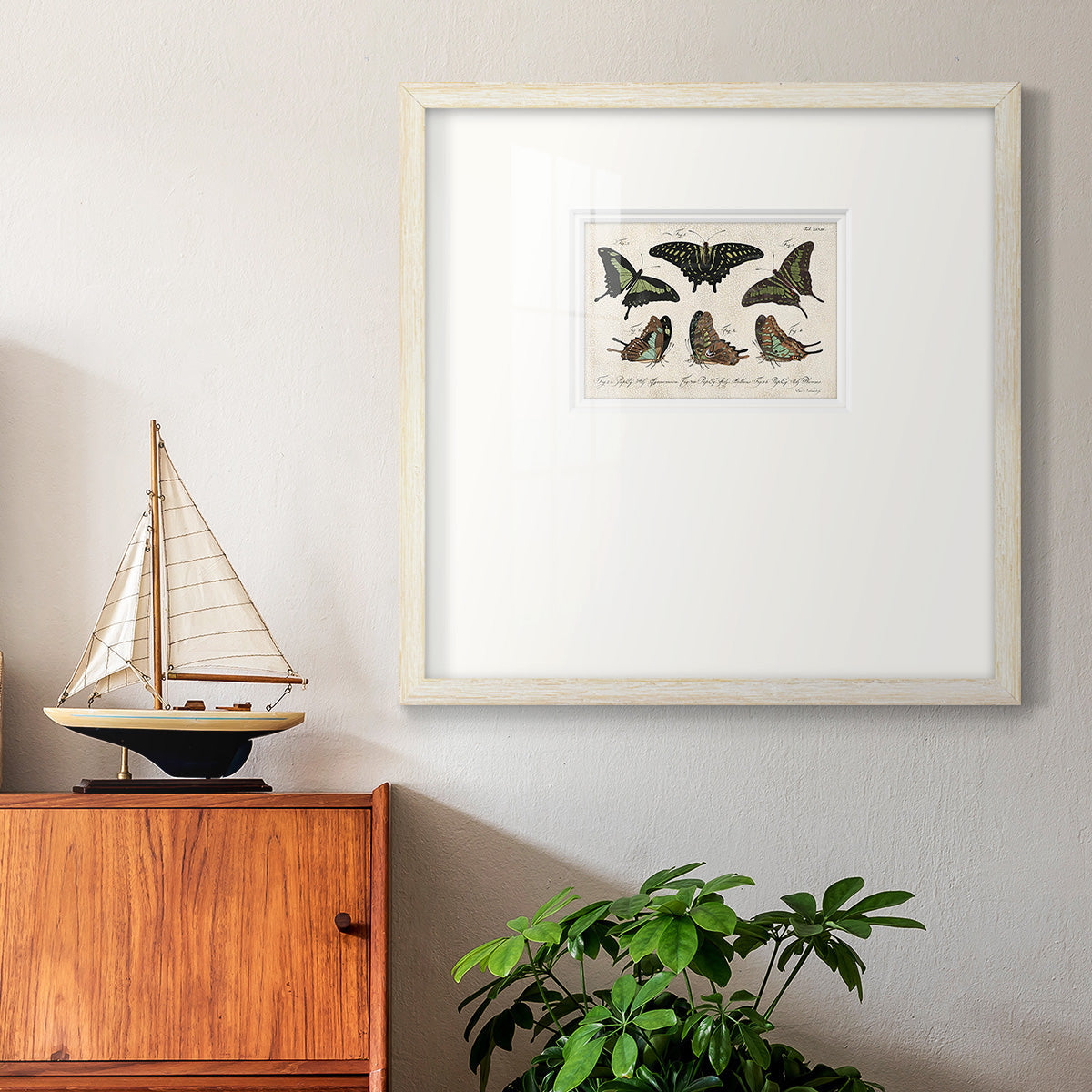 Crackled Butterflies II Premium Framed Print Double Matboard