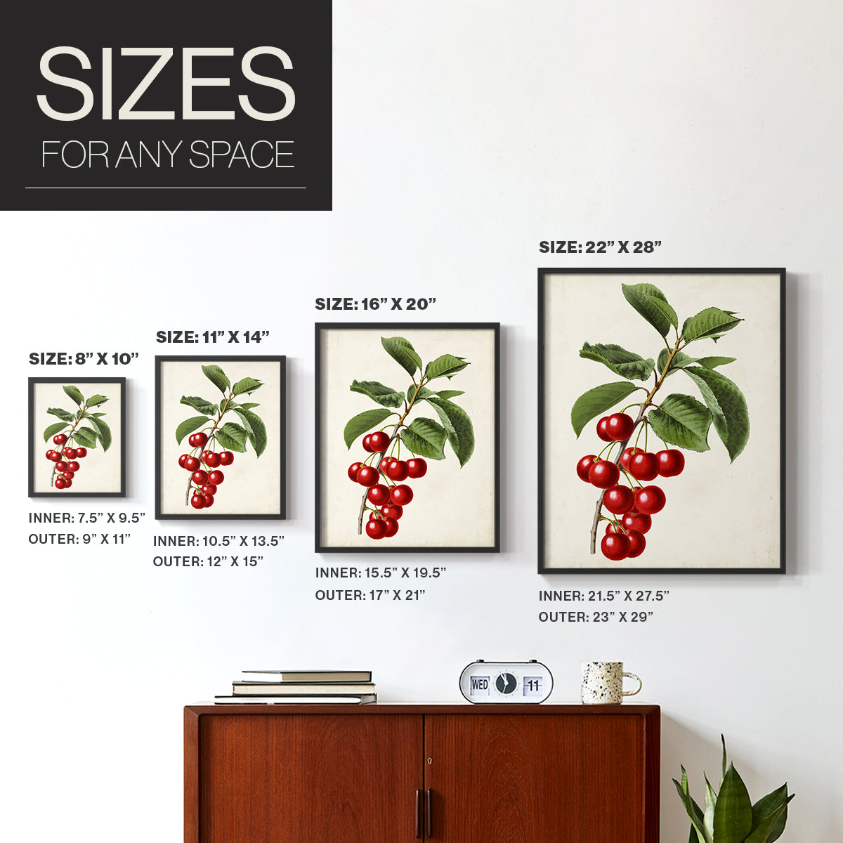 Antique Fruit II - Restickable Framed Art Print
