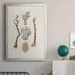 Knorr Shells & Coral V - Modern Framed Canvas Print