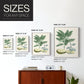 Buchoz Tropicals IV - Restickable Framed Art Print
