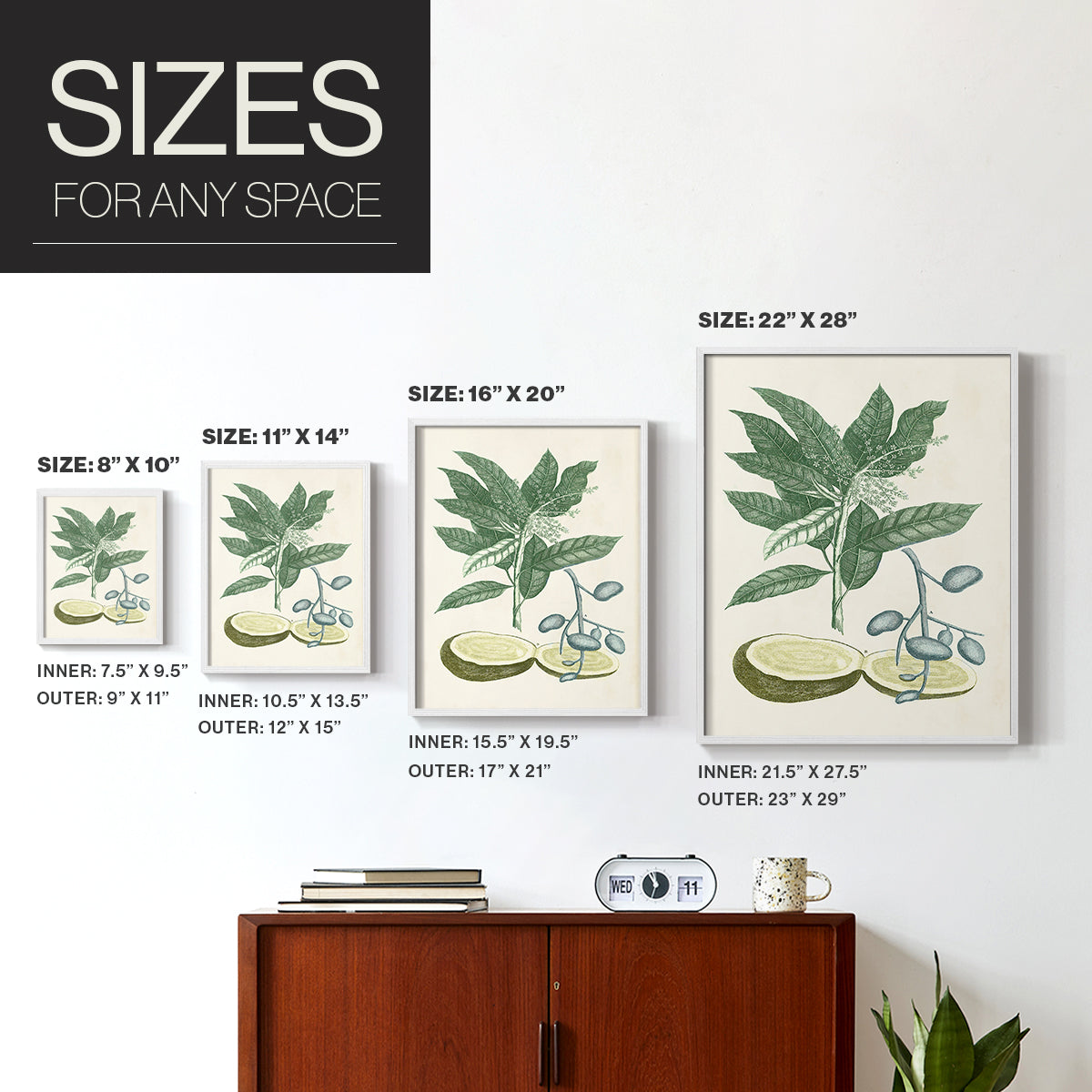 Buchoz Tropicals IV - Restickable Framed Art Print