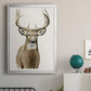 Handsome Whitetail II - Modern Framed Canvas Print