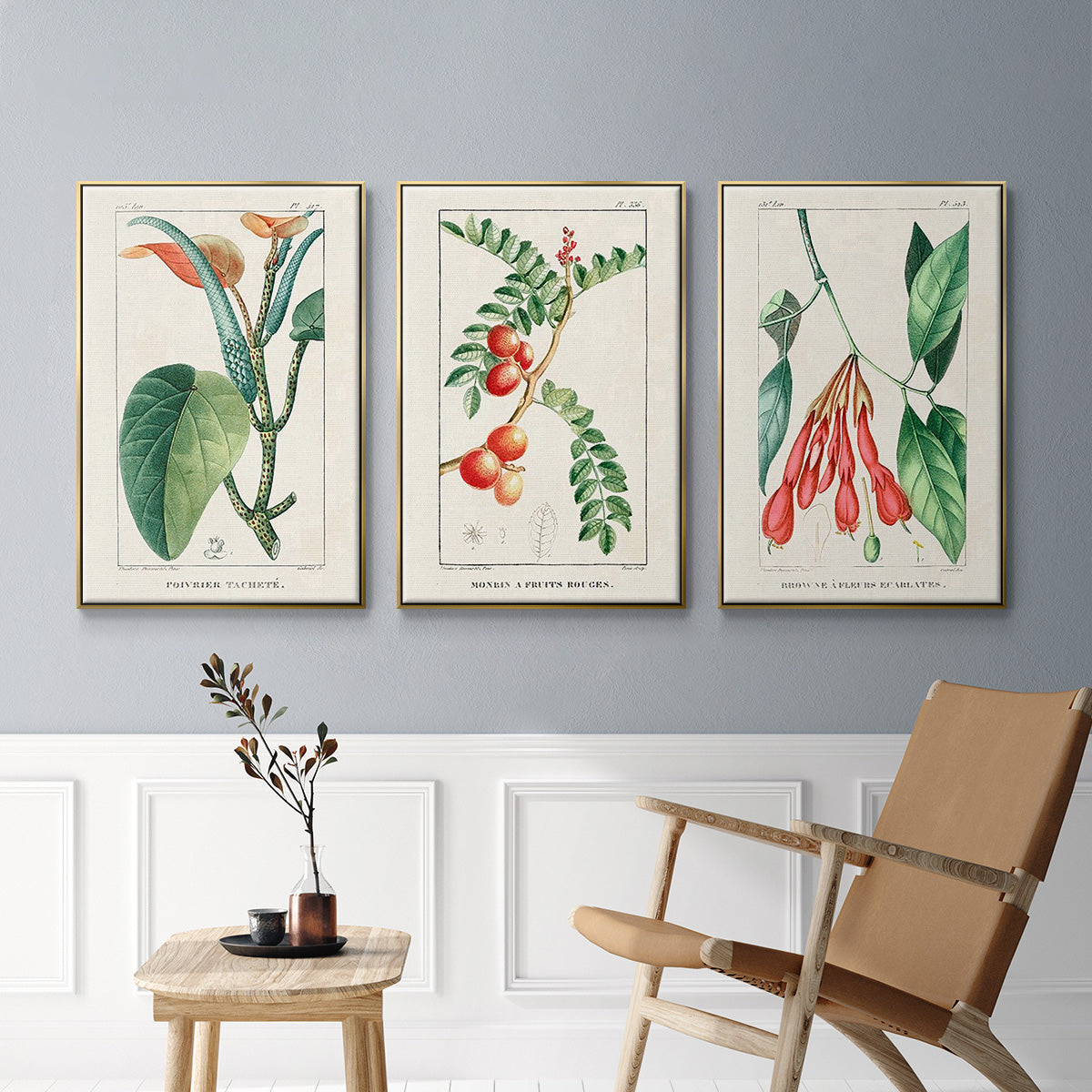 Turpin Tropical Botanicals I - Floater Framed Canvas Set