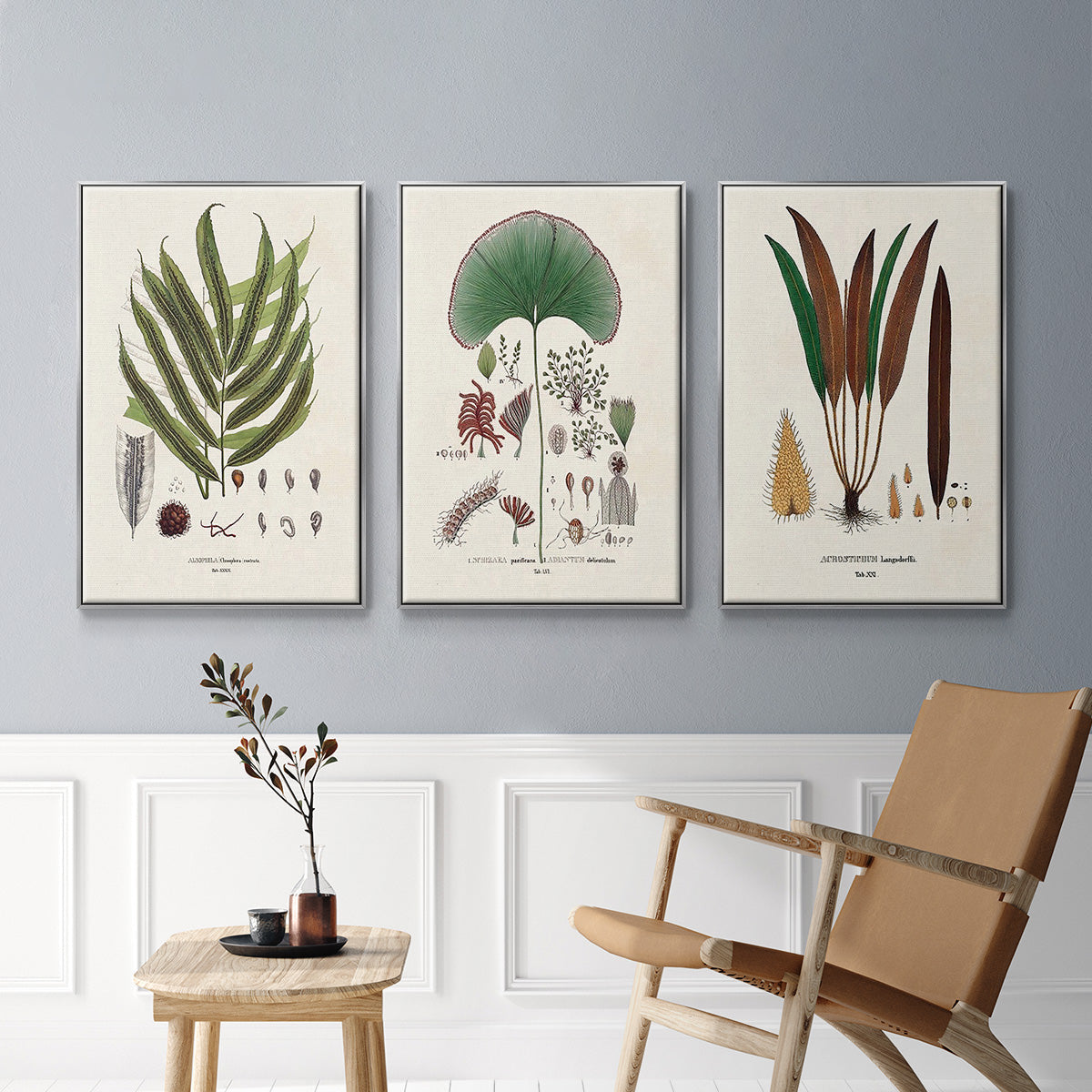 Botanical Society Ferns I - Framed Premium Gallery Wrapped Canvas L Frame 3 Piece Set - Ready to Hang