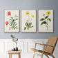 Flowers of the Seasons X - Framed Premium Gallery Wrapped Canvas L Frame 3 Piece Set - Ready to Hang