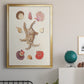 Knorr Shells & Coral II - Modern Framed Canvas Print