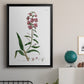 Rose Botanical I - Modern Framed Canvas Print