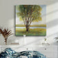 Shade Tree I-Premium Gallery Wrapped Canvas - Ready to Hang