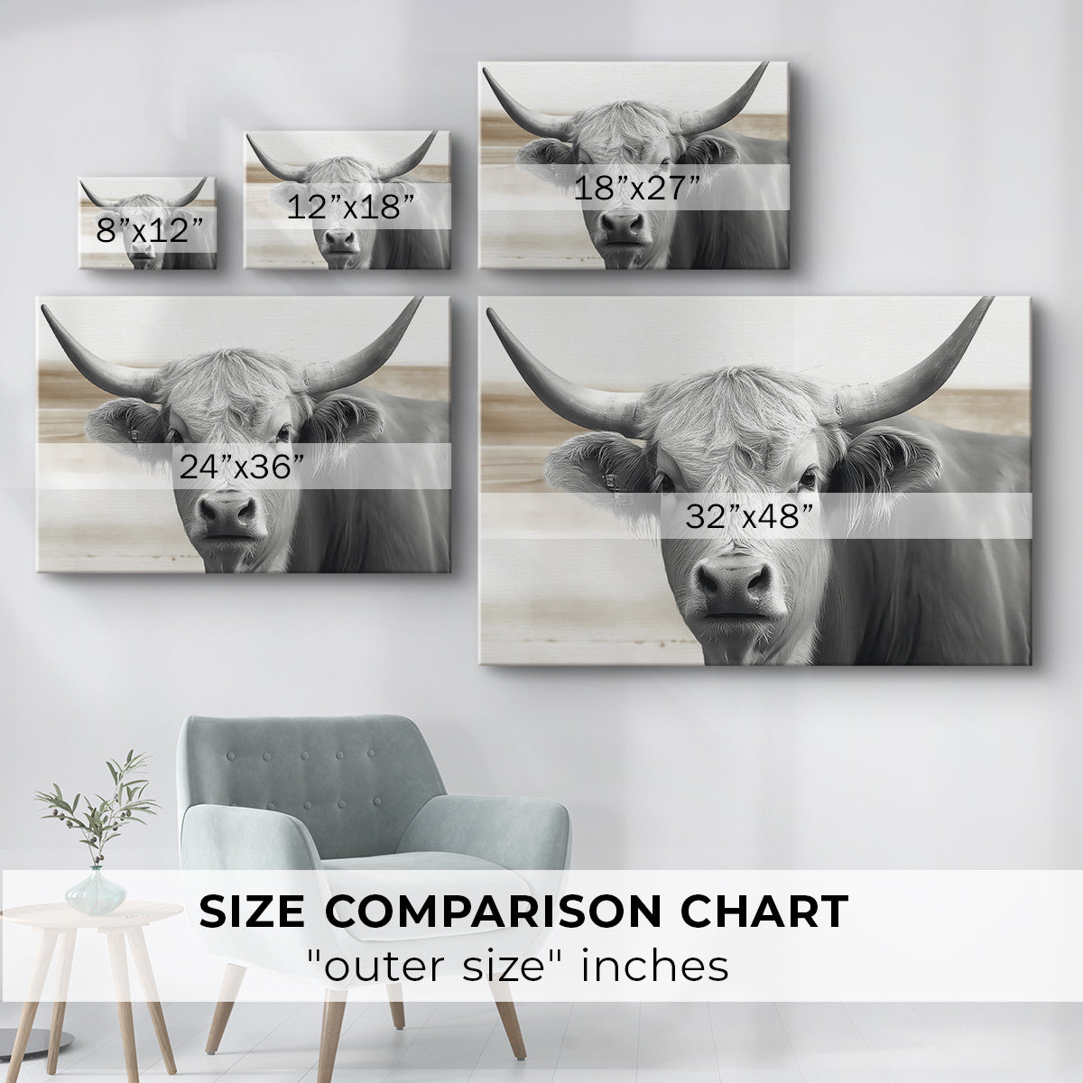 Steer XCI - Canvas Art Print