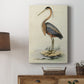 Antique Heron II Premium Gallery Wrapped Canvas - Ready to Hang