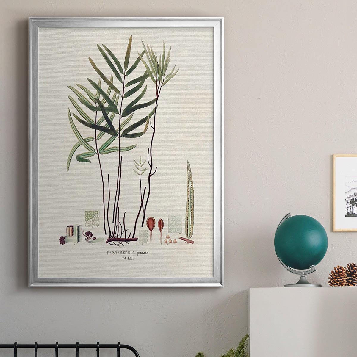 Botanical Society Ferns XI - Modern Framed Canvas Print