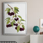 Watercolor Cherries - Modern Framed Canvas Print