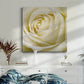 Wall Flower III-Premium Gallery Wrapped Canvas - Ready to Hang