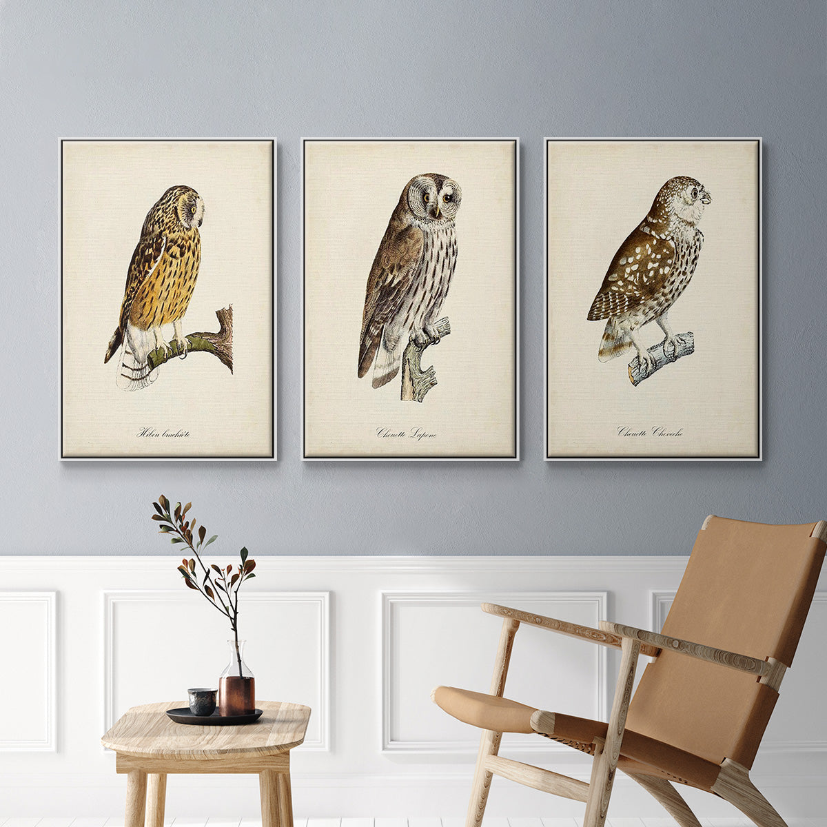 French Owls I - Framed Premium Gallery Wrapped Canvas L Frame 3 Piece Set - Ready to Hang