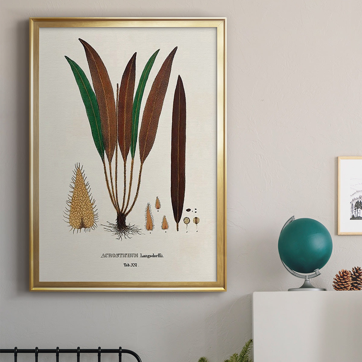 Botanical Society Ferns I - Modern Framed Canvas Print