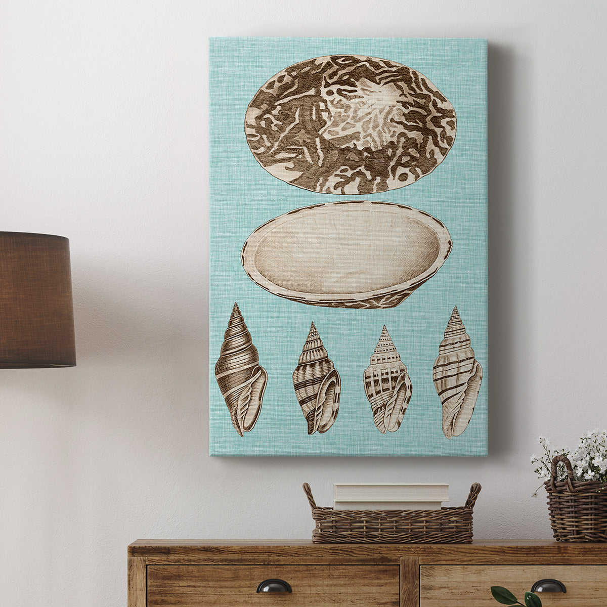 Sepia & Aqua Shells III - Canvas Art Print