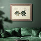 Bloch Antique Fish II Premium Framed Canvas- Ready to Hang