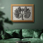 Blossfeldt Botanical VIII Premium Framed Canvas- Ready to Hang