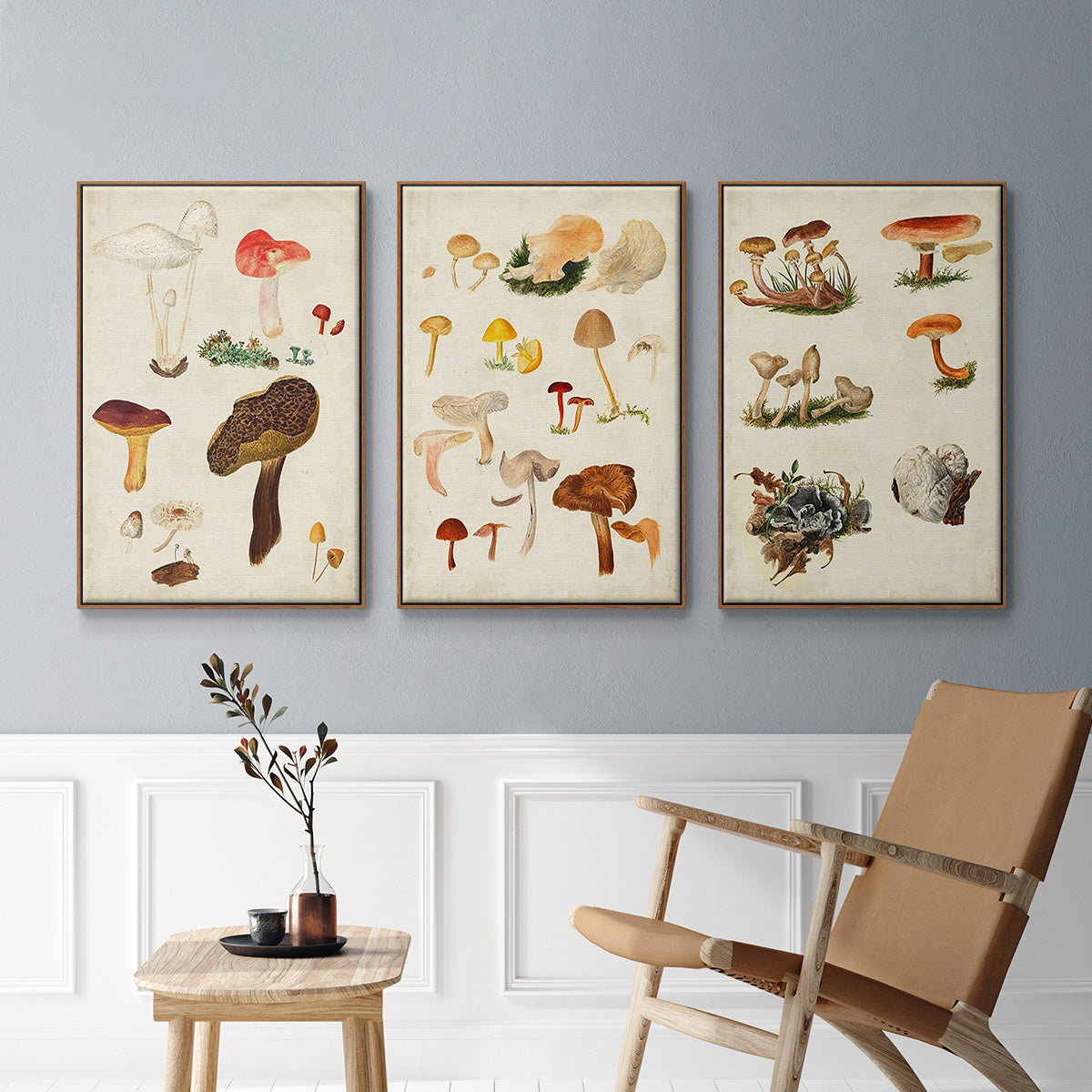 Mushroom Species X - Framed Premium Gallery Wrapped Canvas L Frame 3 Piece Set - Ready to Hang