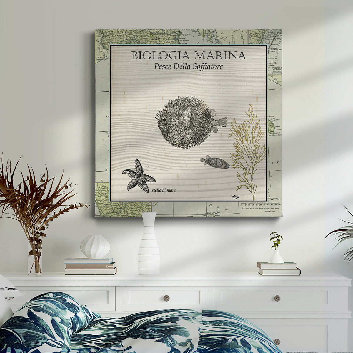 Biologia Marina II-Premium Gallery Wrapped Canvas - Ready to Hang