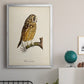 French Owls II - Modern Framed Canvas Print