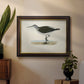 Morris Sandpipers VI Premium Framed Canvas- Ready to Hang