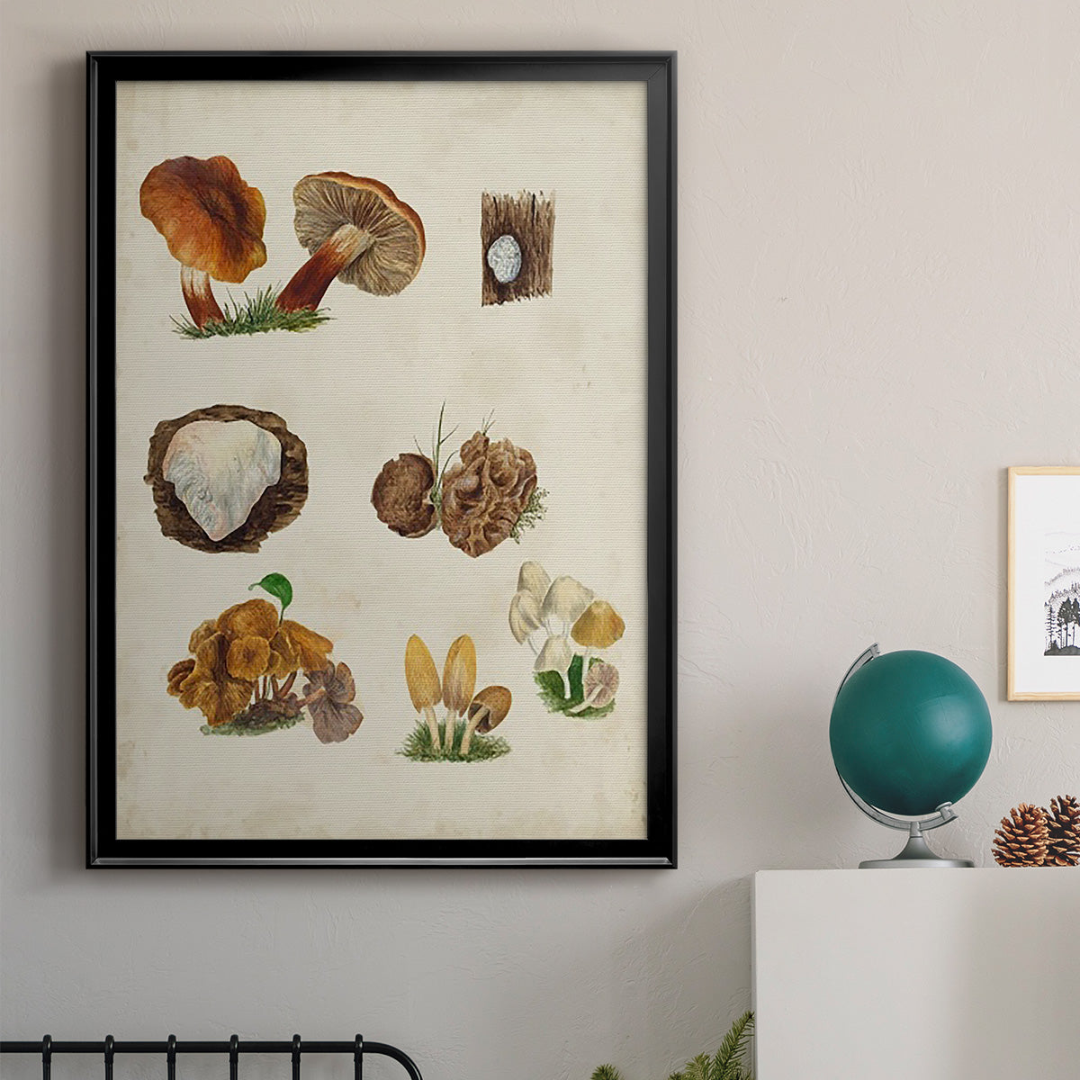 Mushroom Species I - Modern Framed Canvas Print