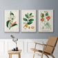 Turpin Tropical Botanicals IV - Framed Premium Gallery Wrapped Canvas L Frame 3 Piece Set - Ready to Hang