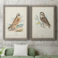 Hawk Owl - Premium Framed Canvas 2 Piece Set - Ready to Hang